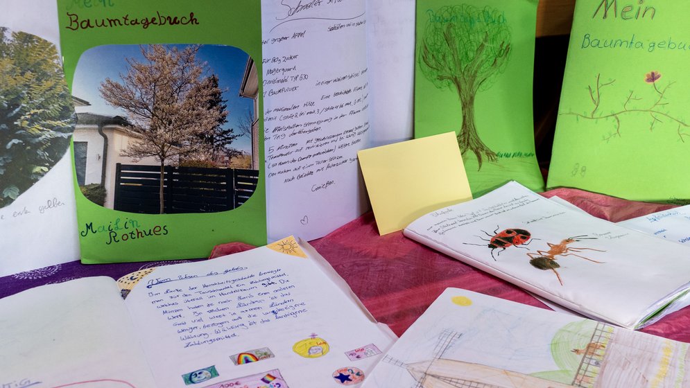 Auf einem Tisch liegen handgefertigte Tagebücher mit Zeichnungen, Gedichten und bunten Einbänden. Einige Einbände sind grün und mit Bäumen verziert, während die aufgeschlagenen Seiten handgeschriebene Einträge, Geschichten und Illustrationen zeigen.