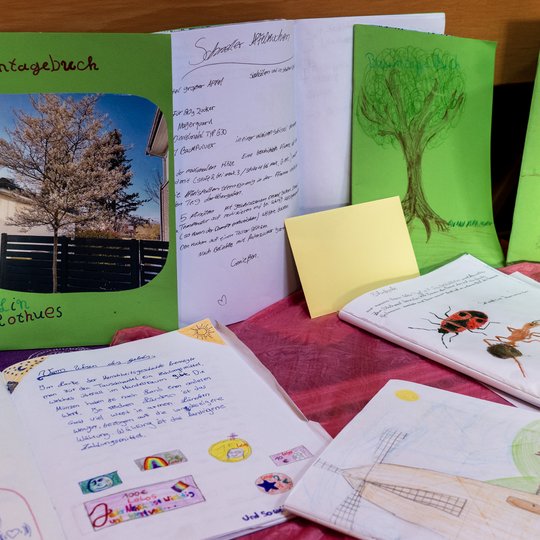 Auf einem Tisch liegen handgefertigte Tagebücher mit Zeichnungen, Gedichten und bunten Einbänden. Einige Einbände sind grün und mit Bäumen verziert, während die aufgeschlagenen Seiten handgeschriebene Einträge, Geschichten und Illustrationen zeigen.