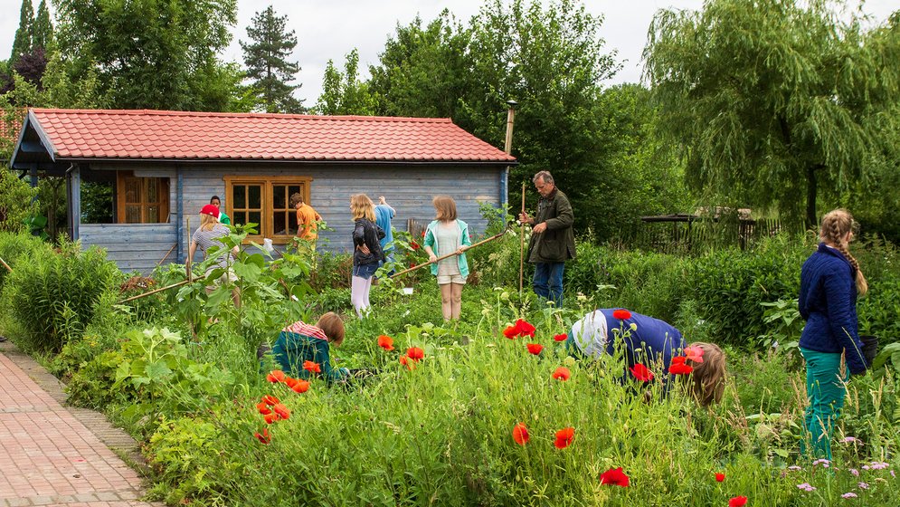 Eine Gruppe von Menschen, darunter Kinder und Erwachsene, arbeitet gemeinsam in einem üppigen Garten mit hohen Pflanzen und Blumen, in der Nähe eines kleinen blauen Hauses mit rotem Dach.