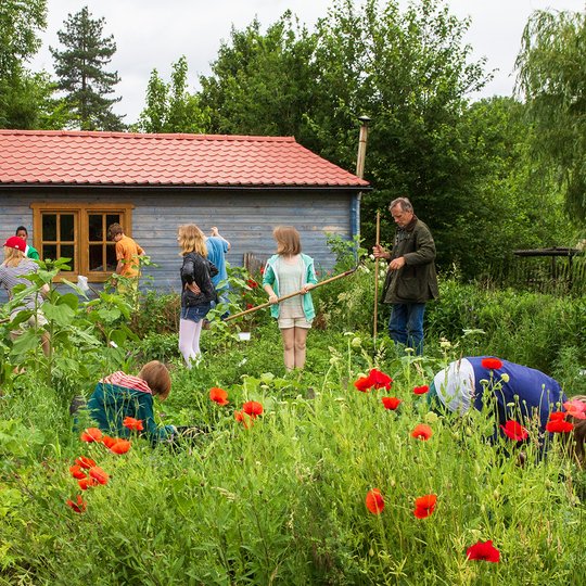 Eine Gruppe von Menschen, darunter Kinder und Erwachsene, arbeitet gemeinsam in einem üppigen Garten mit hohen Pflanzen und Blumen, in der Nähe eines kleinen blauen Hauses mit rotem Dach.