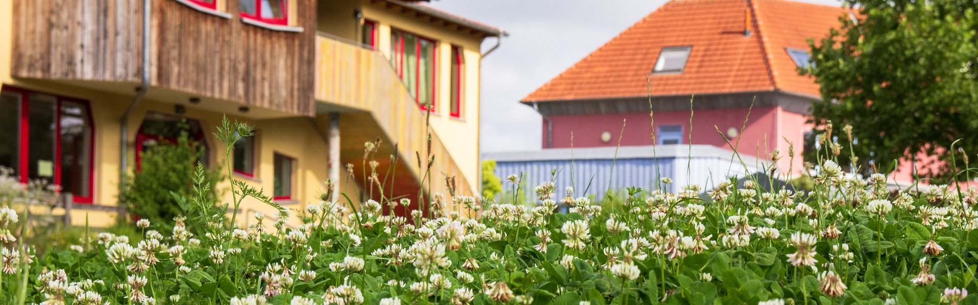 Im Vordergrund ist ein Feld mit weißem Klee zu sehen, im Hintergrund stehen unter einem teilweise bewölkten Himmel zwei farbenfrohe Häuser – eines in Gelb mit Holzdetails und eines in Rosa mit orangefarbenem Dach.