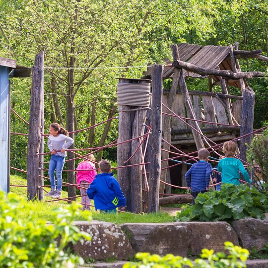 Kinder spielen auf einem Klettergerüst aus Holz mit Seilen auf einem Spielplatz im Freien, der von Grünflächen und Sonnenlicht umgeben ist. Links ist ein blaues Gebäude zu sehen.