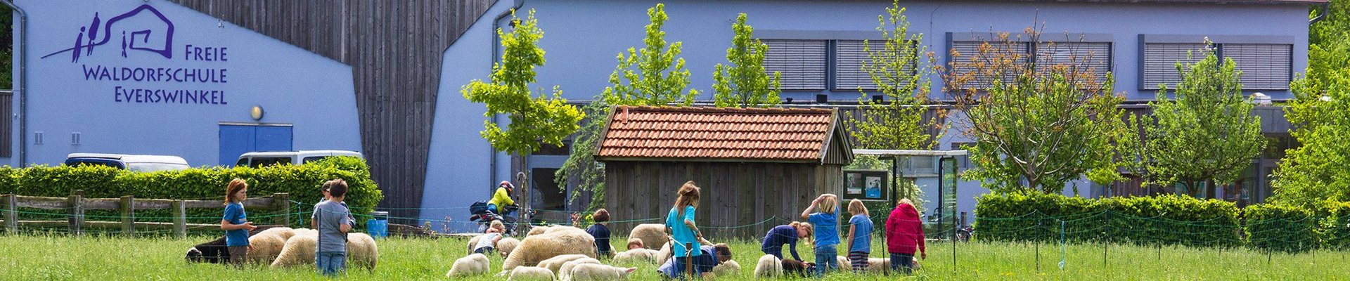 Kinder und Erwachsene versammeln sich um Schafe auf einer grünen Wiese voller gelber Blumen in der Nähe eines Gebäudes mit der Aufschrift „Freie Waldorfschule Everswinkel“, umgeben von Bäumen und Sträuchern, unter strahlend blauem Himmel.
