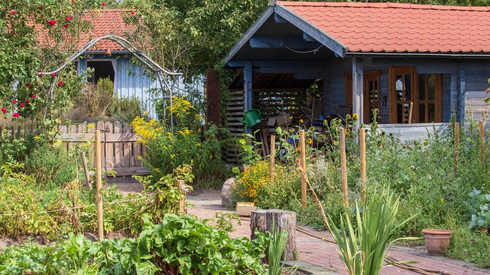 Ein üppiger Gemüsegarten mit Blattgemüse und Blumen, ein gepflasterter Weg und zwei rustikale Holzschuppen mit roten Dächern, umgeben von viel Grün an einem sonnigen Tag.