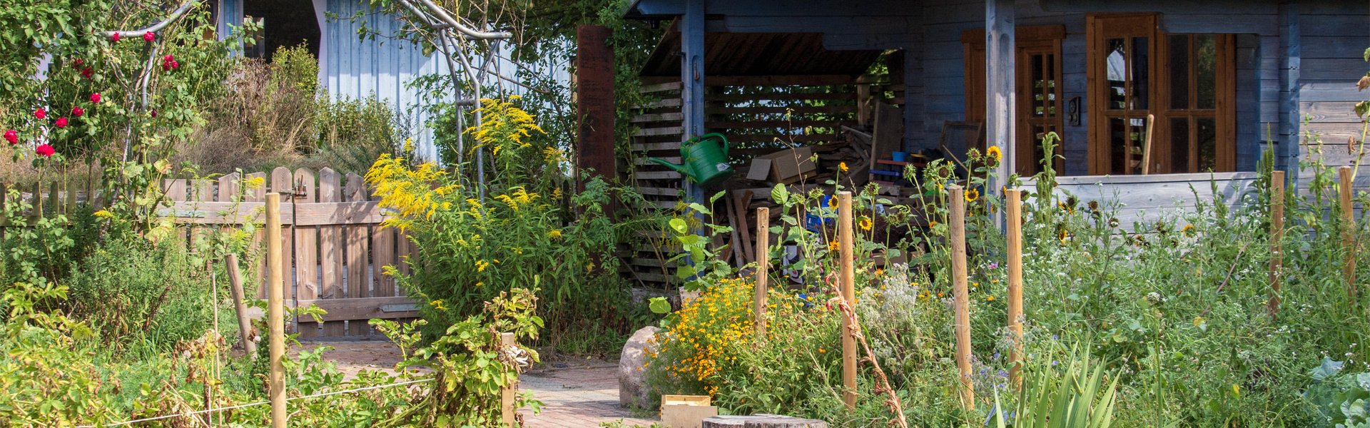 Ein üppiger Gemüsegarten mit Blattgemüse und Blumen, ein gepflasterter Weg und zwei rustikale Holzschuppen mit roten Dächern, umgeben von viel Grün an einem sonnigen Tag.