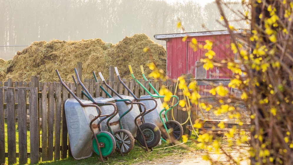 Vier Schubkarren lehnen an einem Holzzaun in der Nähe einer Scheune, im Hintergrund sind Heuhaufen zu sehen. Im Vordergrund sind gelbe Blumen und Zweige zu sehen.