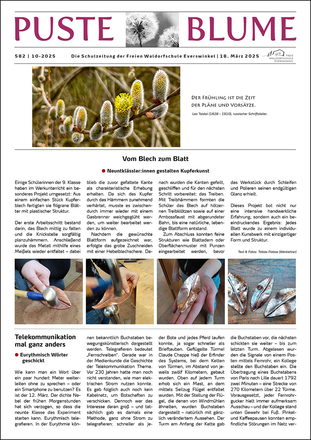 pusteblume01 2021