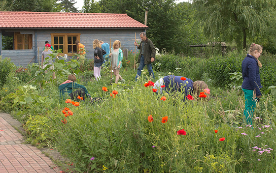 fswe-gelaende-09